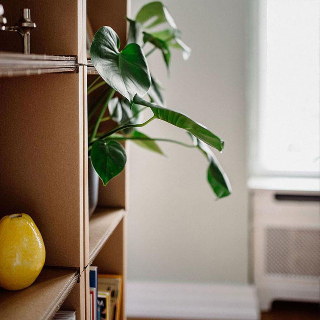 ROOM IN A BOX modular shelving system
